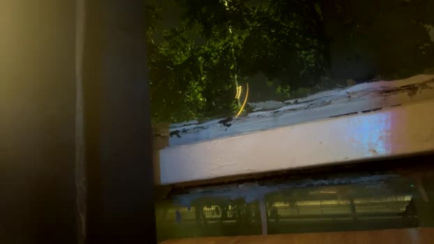 gerson229 20-03-2025 Recorded Video beautiful