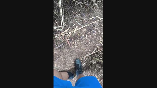 _ALLADYN_ 23-03-2025 Recorded Video toy
