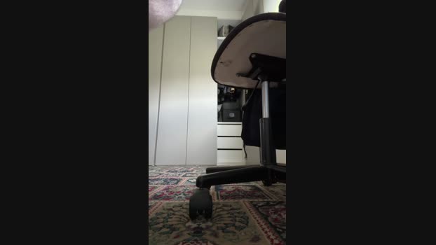 Drippingdickkkk 23-03-2025 Recorded Video deepthroat