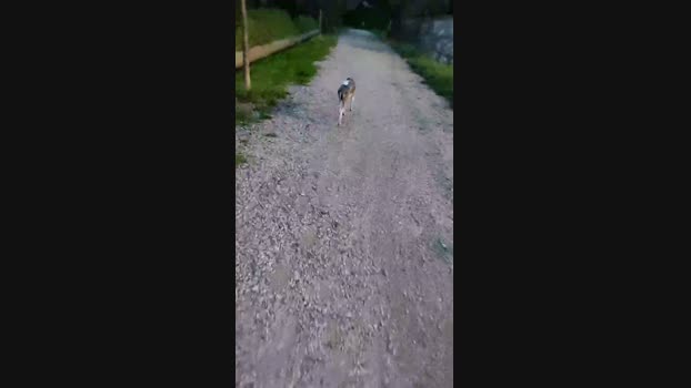 HuGo4K 22-03-2025 Recorded Video Video