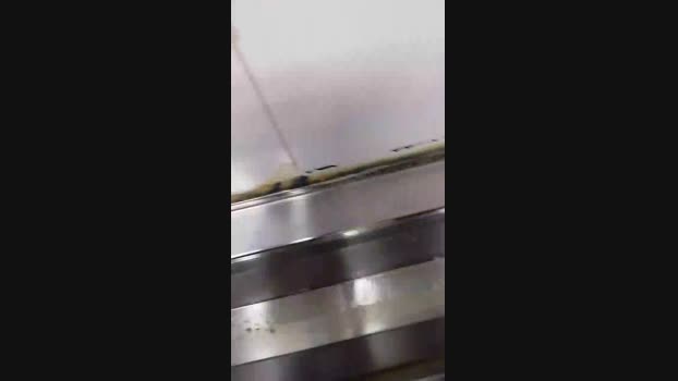 Rafachel 22-03-2025 Recorded Video amateur