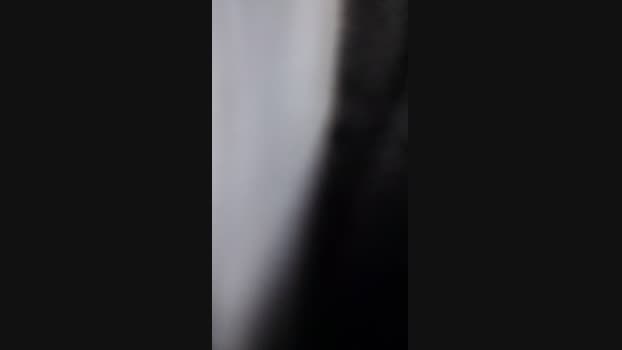 Sexylatinogay 23-03-2025 Recorded Video Topless