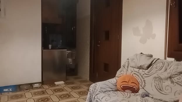 ragazzoporco83 22-03-2025 Recorded Video blowjob