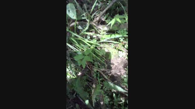 Clark_Jhonz 23-03-2025 Recorded Video Show