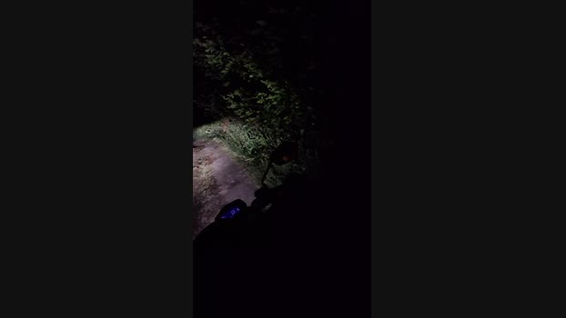 Clark_Jhonz 24-03-2025 Recorded Video Topless