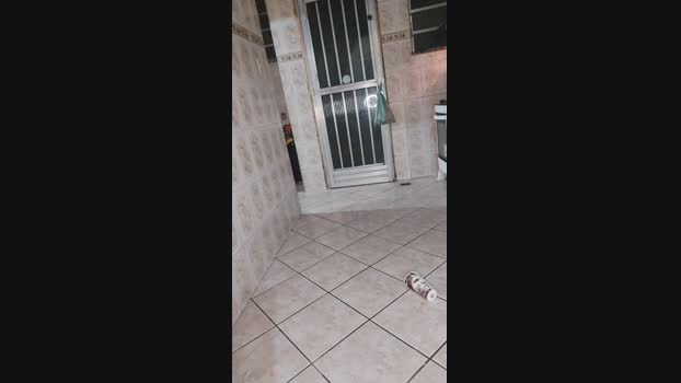 Nigeegeryano 24-03-2025 Recorded Video toy