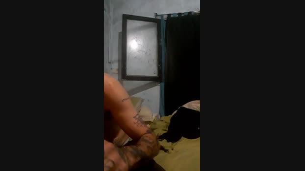 groot3333
