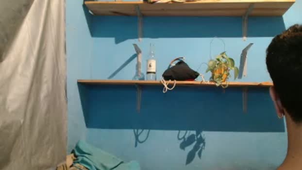guaracijaci 25-03-2025 Recorded Video ass