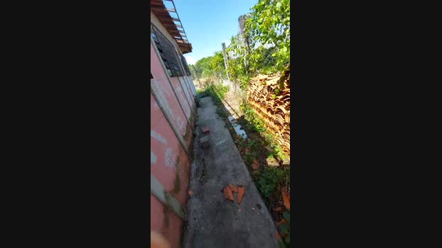 jao_magrao 25-03-2025 Recorded Video lovense
