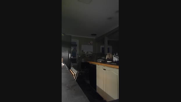4_Fox_sakes 26-03-2025 Recorded Video naked