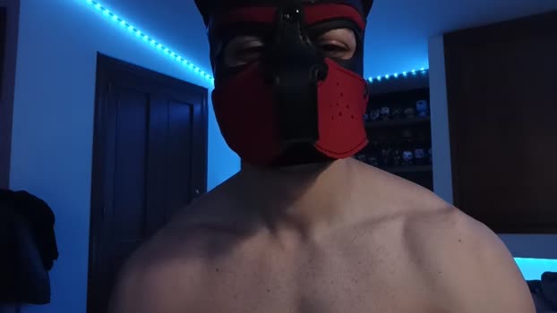 Frabroker 25-03-2025 Recorded Video hard