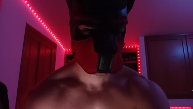 Frabroker 25-03-2025 Recorded Video natural