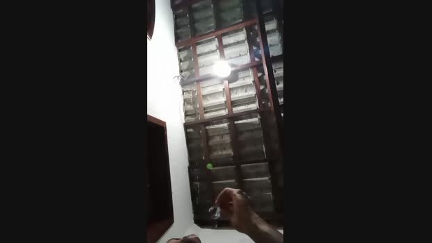AbrahaoLutador 29-03-2025 Recorded Video fingering