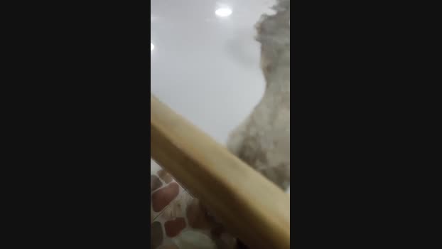 felixm98 29-03-2025 Recorded Video hard