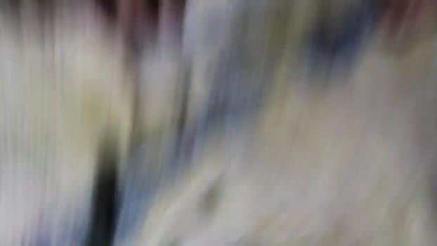 m0974_ 28-03-2025 Recorded Video fuckface