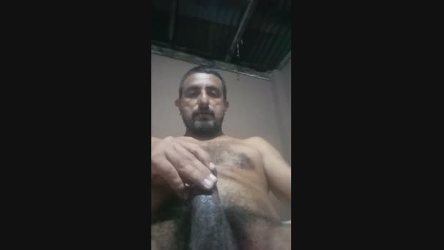 macar4 29-03-2025 Recorded Video ass