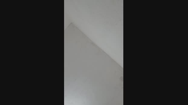 mach75 29-03-2025 Recorded Video wank