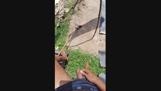 Ksadoafim69 29-03-2025 Recorded Video Video