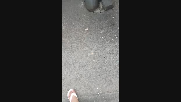Maltratosubmiss 29-03-2025 Recorded Video fuckhard