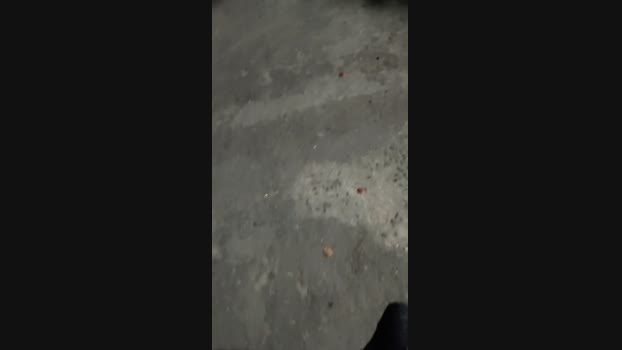 Maltratosubmiss 30-03-2025 Recorded Video sexykitty