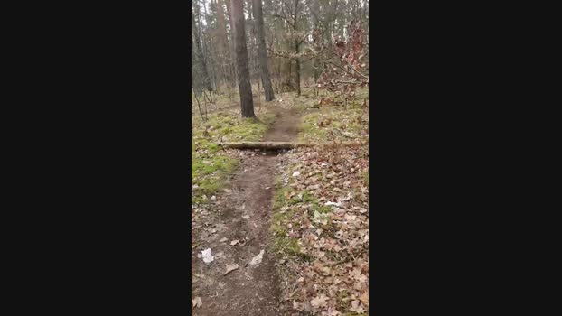raini1205 30-03-2025 Recorded Video beautiful