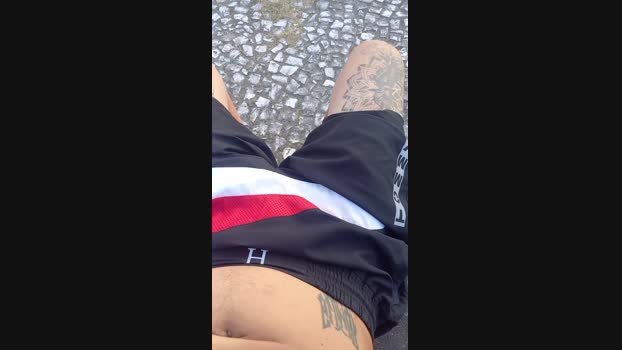 20cmdur0 30-03-2025 Recorded Video bigtoys