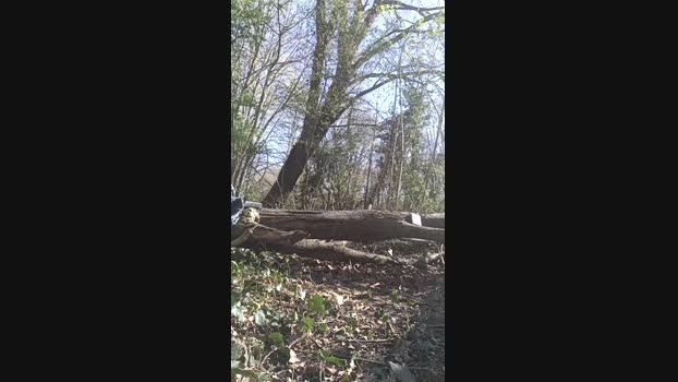 Cazzoarabo 31-03-2025 Recorded Video Show