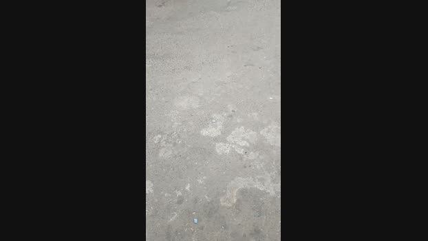 Maltratosubmiss 30-03-2025 Recorded Video hot