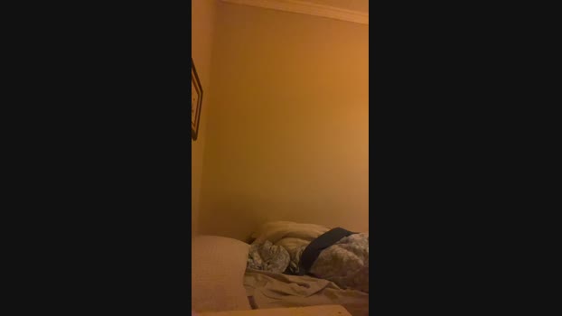 Srto_dani 01-04-2025 Recorded Video prettyface