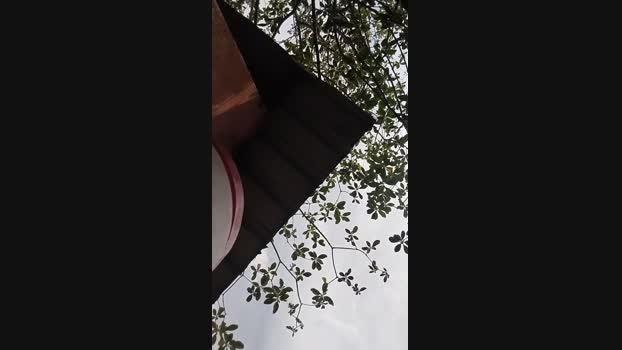 hotboy1955 31-03-2025 Recorded Video juicy