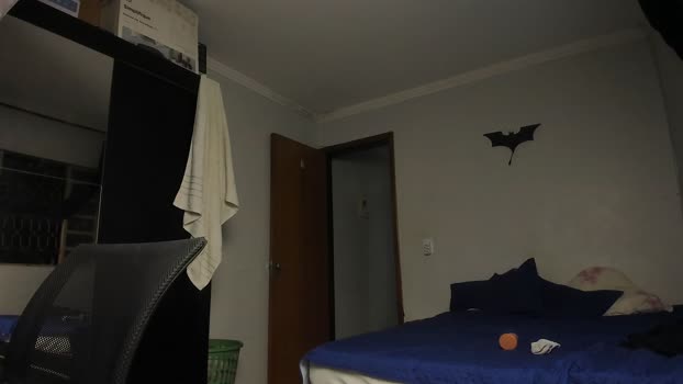 sexyflightz 01-04-2025 Recorded Video bigballs