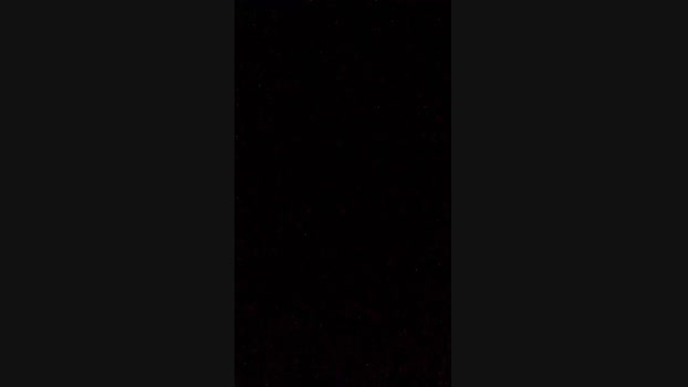 thompson3 02-04-2025 Recorded Video fuckher