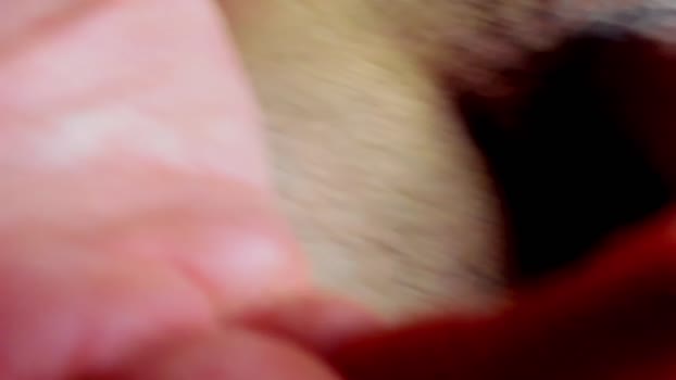 LucasJewely 02-04-2025 Recorded Video Cam