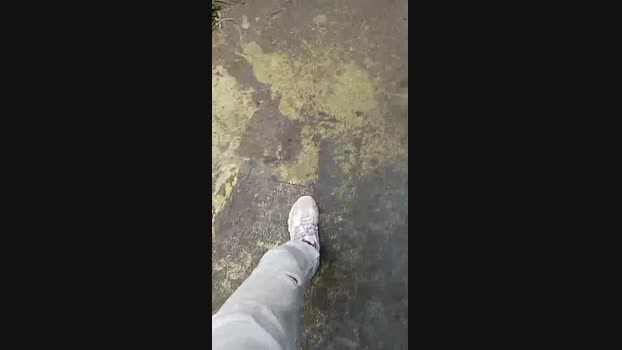 felixm98 02-04-2025 Recorded Video sweet