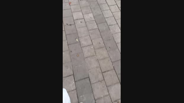 felixm98 02-04-2025 Recorded Video love
