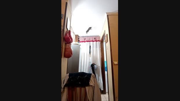 CIOLADURA80 04-04-2025 Recorded Video amateur