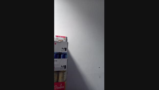 Gimli0309 04-04-2025 Recorded Video wank