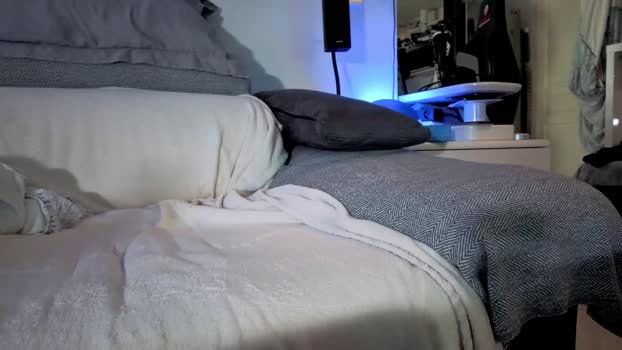 HuGo4K 04-04-2025 Recorded Video sweet