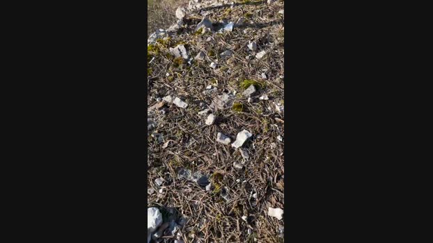 Manu97k 03-04-2025 Recorded Video sweet
