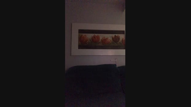 Ricardocam35 04-04-2025 Recorded Video hardcock