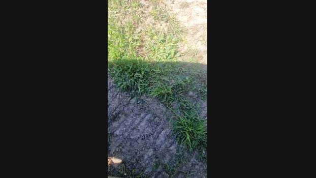 TheLastBebos 04-04-2025 Recorded Video Pretty