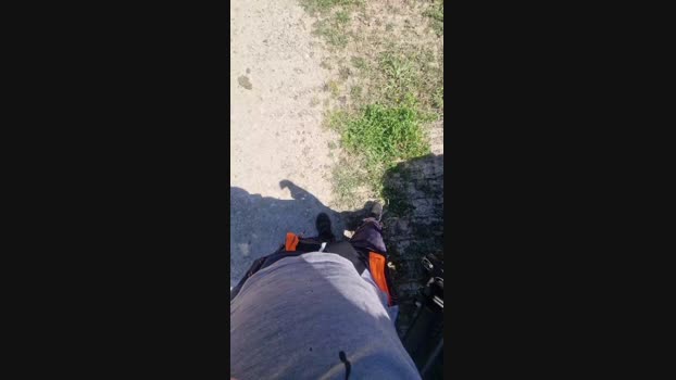 TheLastBebos 04-04-2025 Recorded Video analtoy
