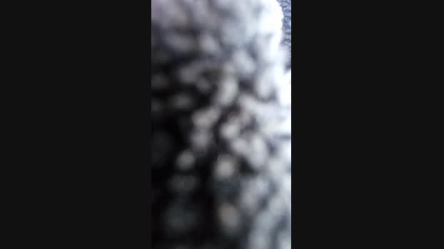 TheLastBebos 04-04-2025 Recorded Video fuckher