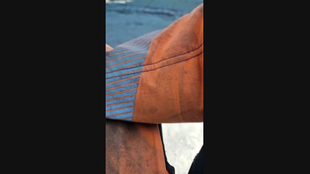 Wiesencoltx 04-04-2025 Recorded Video Show