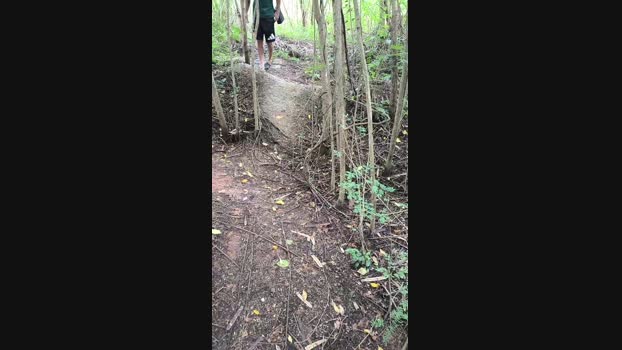 _ALLADYN_ 04-04-2025 Recorded Video cute