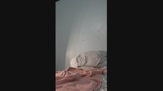 Robnster99 05-04-2025 Recorded Video bj-dildo