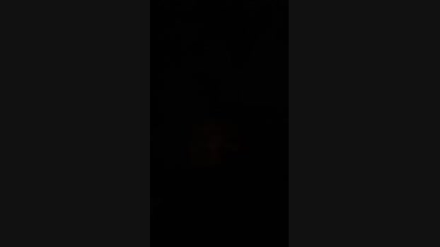 jpollon96 05-04-2025 Recorded Video bicurious