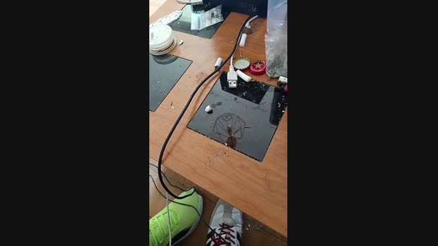 jpollon96 05-04-2025 Recorded Video big
