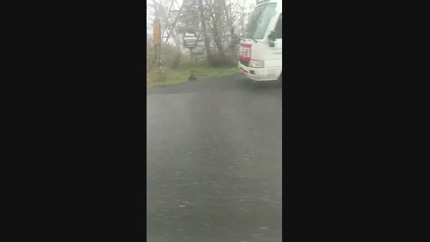 nr3819 05-04-2025 Recorded Video fuckher