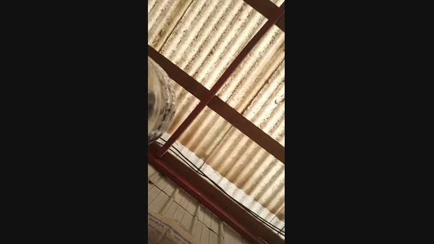 KINTAR 06-04-2025 Recorded Video analtoy